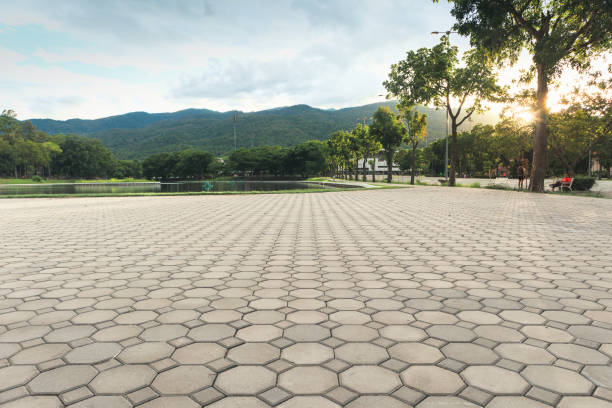 Best Professional Driveway Pavers  in Mulberry, NC